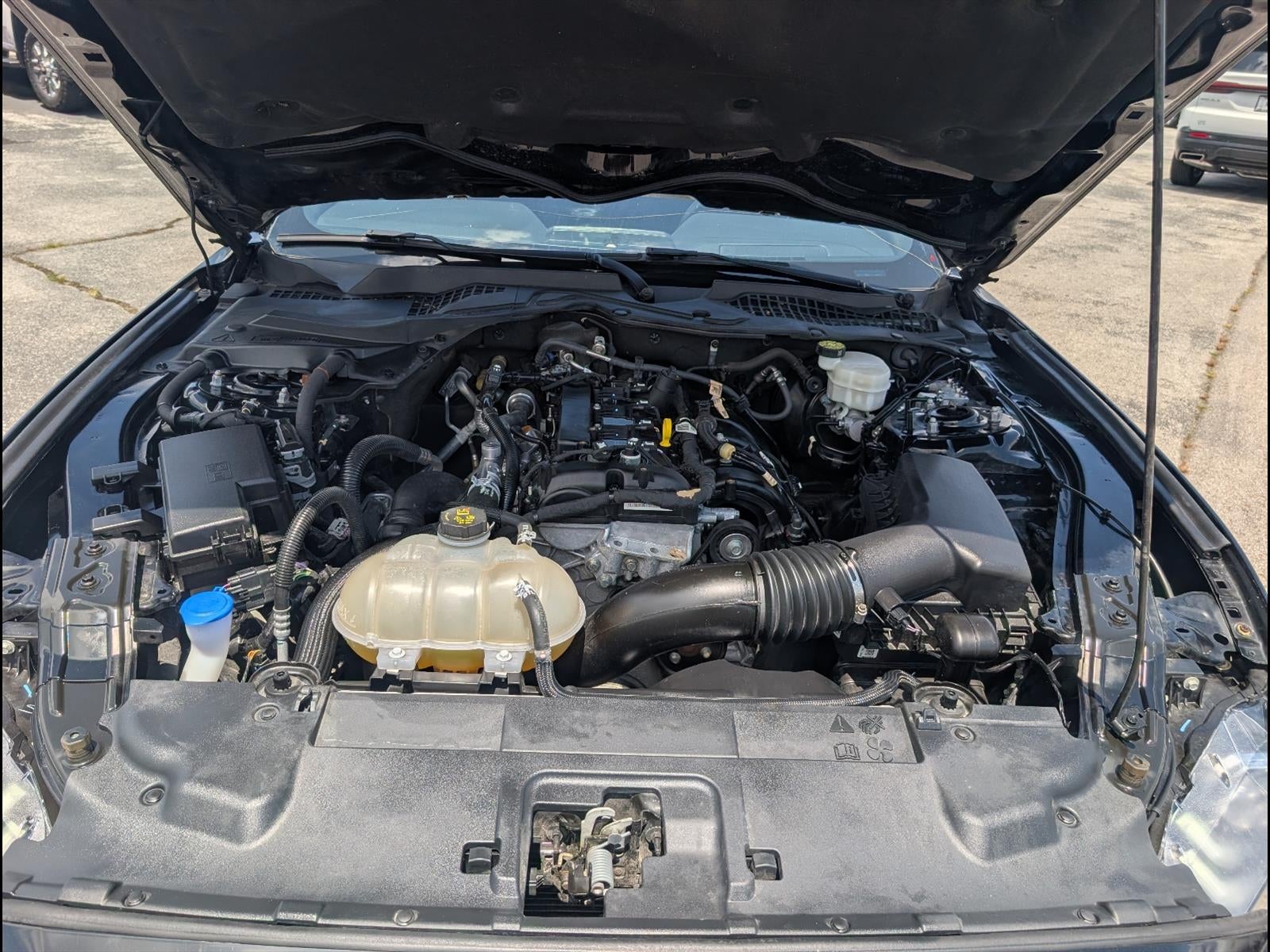 2023 Ford Mustang EcoBoost
